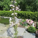 Fuchshuber *